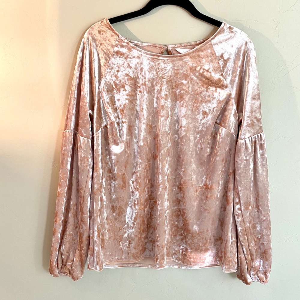 NWT Lauren Conrad Velvet Top in Dusty Rose Size M